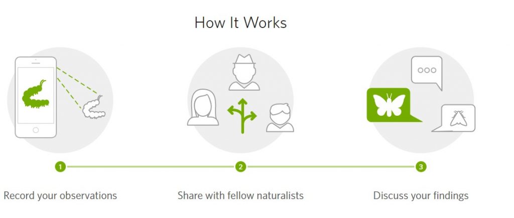 inaturalist-how