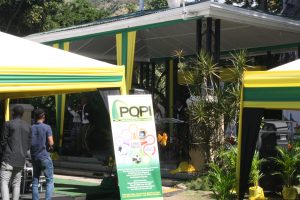 IYPH-Launch-Jamaica-IMG_8654