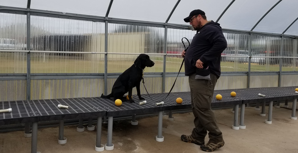 cover-detector-dog-team